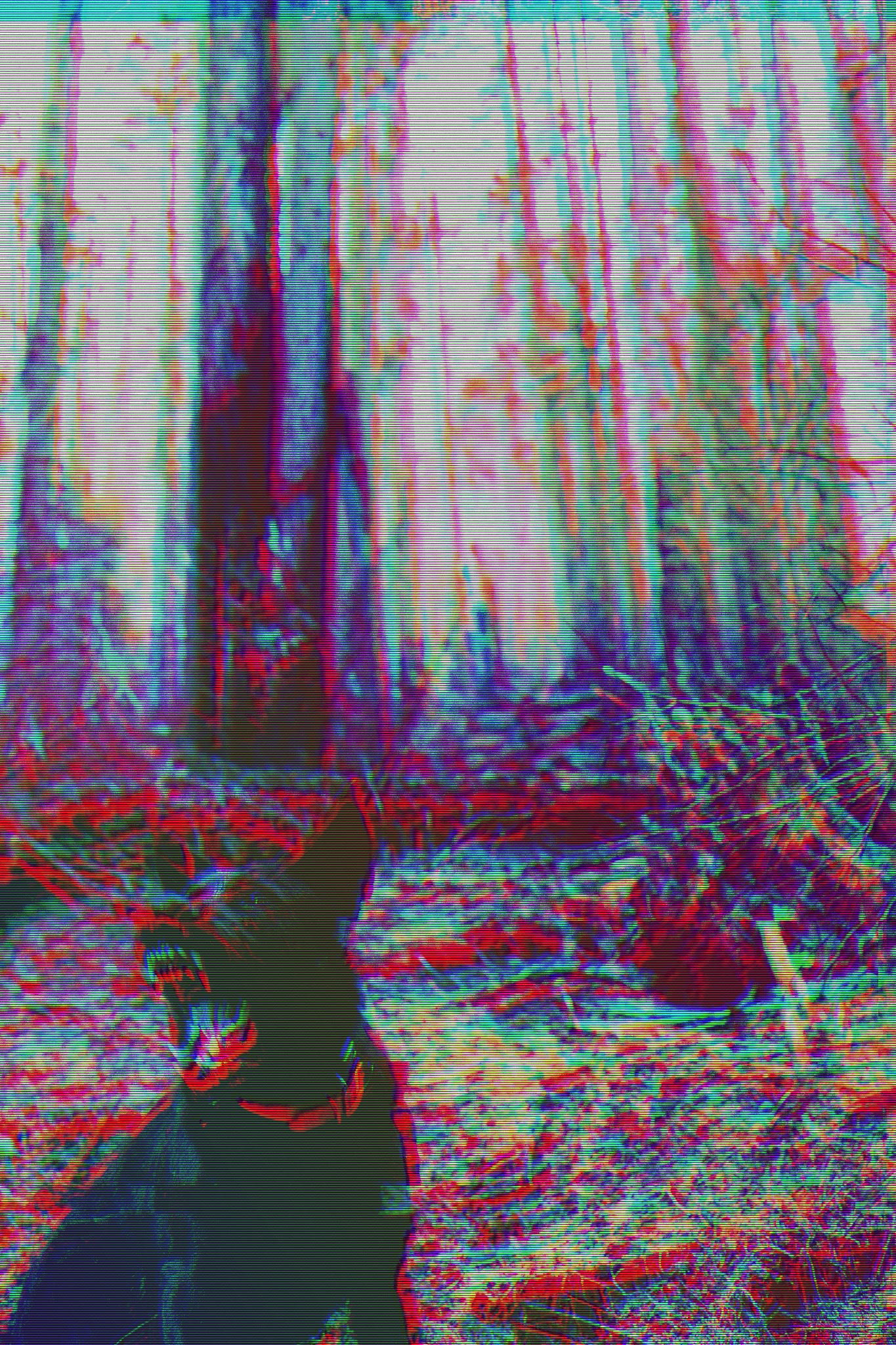 Derek the Shithead Wizard 2.w1z